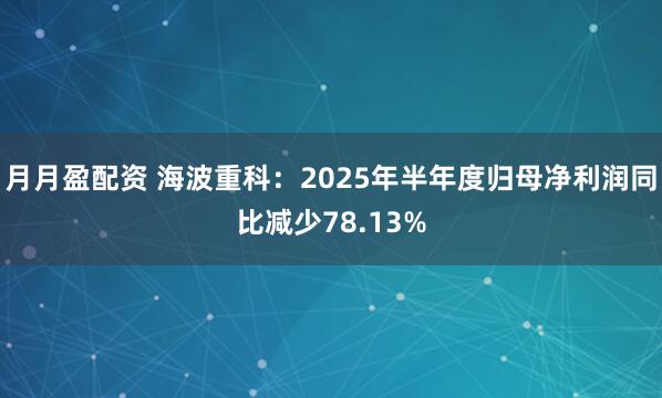 月月盈配资 海波重科：2025年半年度归母净利润同比减少78.13%